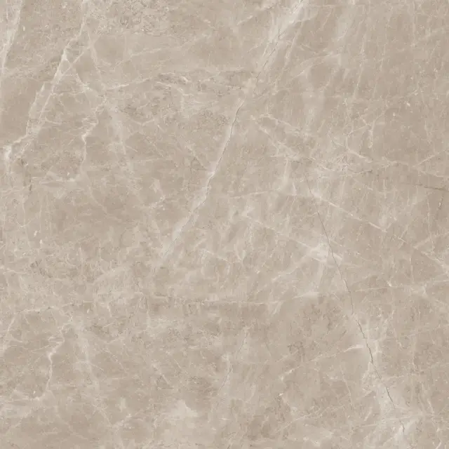 Frappuccino Taupe Polished 120x120