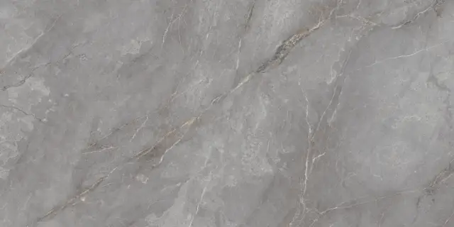 Orobico Grey Polished 80x160