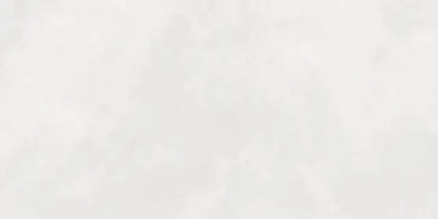 Newport White Matt 60x120