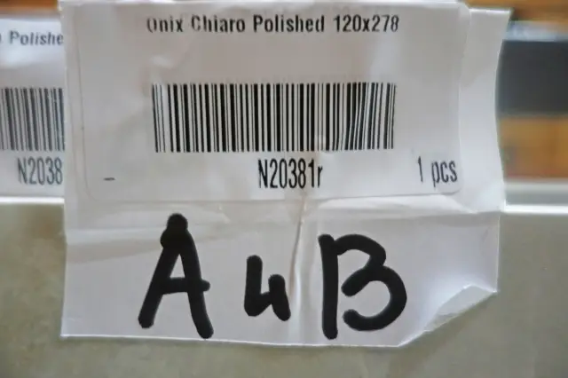 Onix Chiaro Polished 120x278