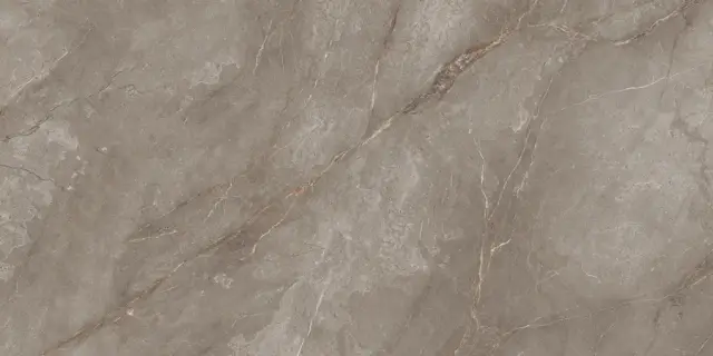 Orobico Brown Polished 80x160