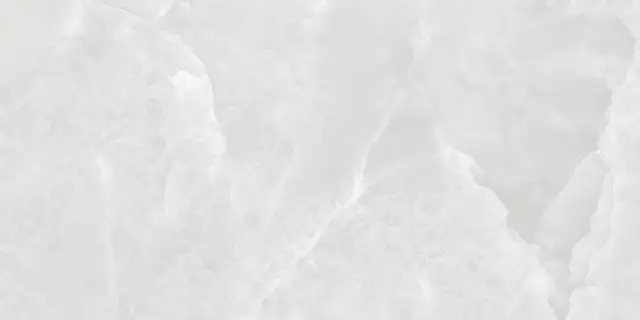 Onyx Silver Polished 80x160