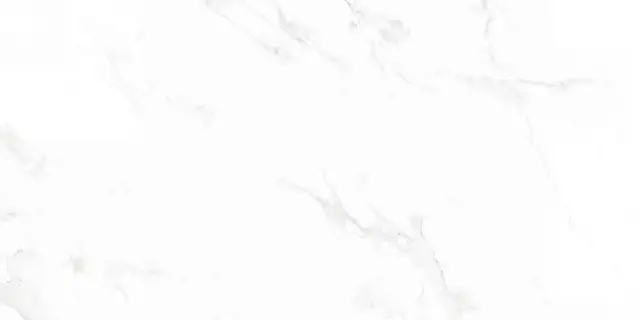 Venus Bianco Polished 60x120