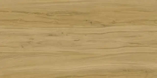 Alleya Brown Str. 60x120