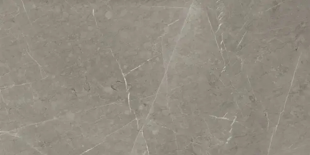 Skala Grey Beige Matt. 60x120