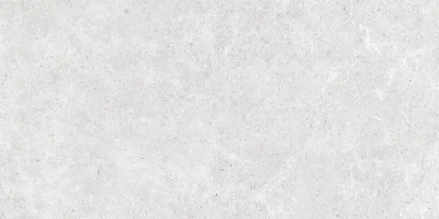 Monochrom White Matt 60x120