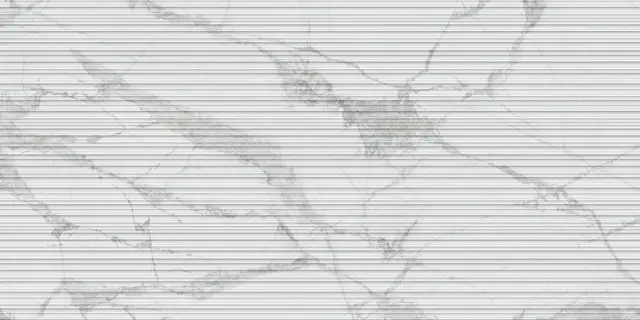 Blanc Invisible Cane Ductile 60x120