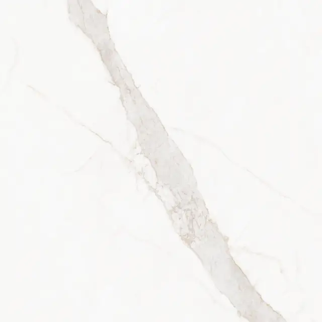 Blanc Calacatta Gold Soft 120x120