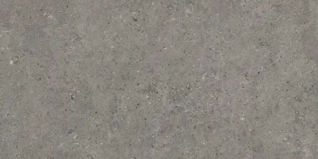 Beren Dark Grey Ductile Soft 60x120