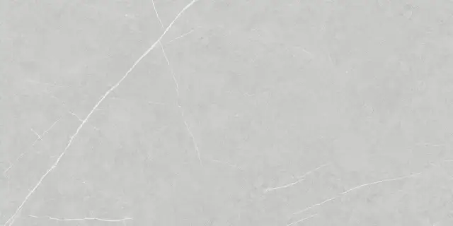 Allure Light Grey Soft 60x120