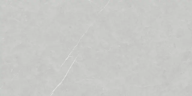 Allure Light Grey Ductile 60x120