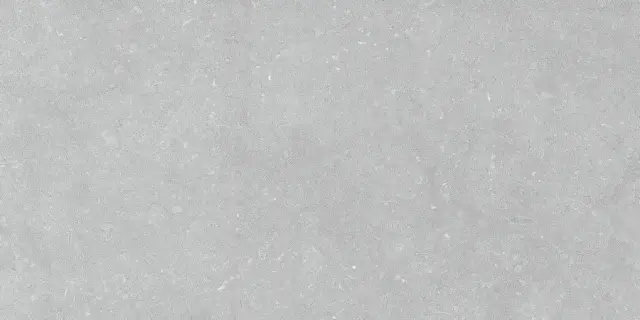 Noon Grey Ductile 60x120