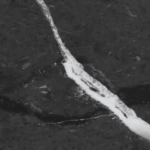 Cosmos Черный 60x60