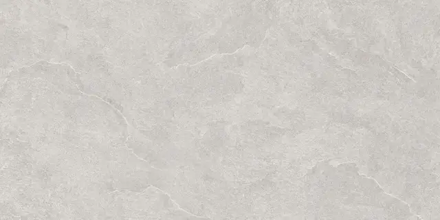 North Slate Grey 60x120