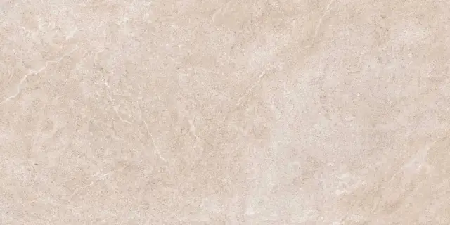 ARLES ARENA 120X260X5,6