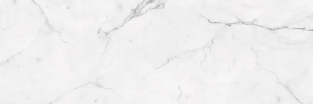 ESTATUARIO POLISHED 100X300X5,6