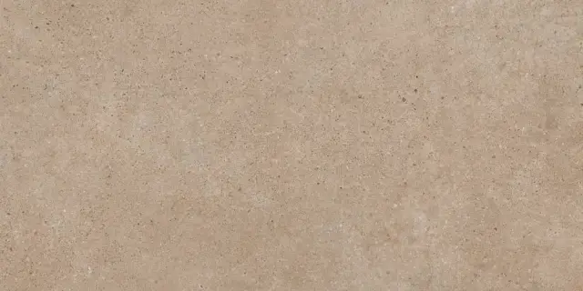 PANGEA TIERRA 60X120 REC.