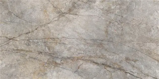 RAIN FOREST NATURAL PULIDO 59X119 RECT.