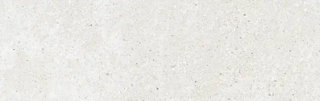 MITICA BLANCO 31,5X100 REC.