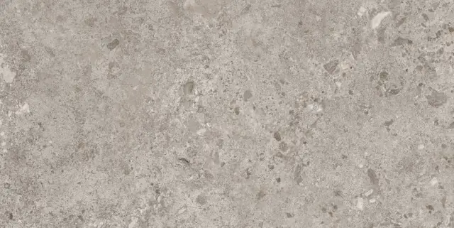 BIERZO GRIS SEDA  60X120