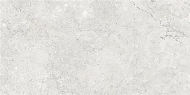 GOBI PEARL MT 60X120 RECT (S-TECH)