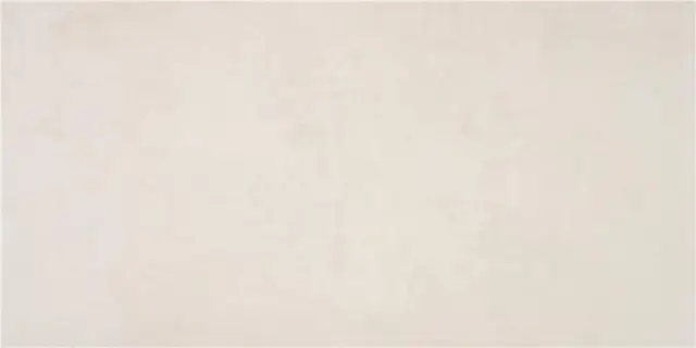 COLUMBIA PEARL MT 60X120 RECT.NANOTECH