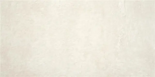 RODANO CHALK MT 60X120 RECT.