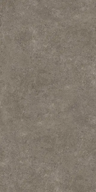 PORFIDO BROWN 60X120 5,6