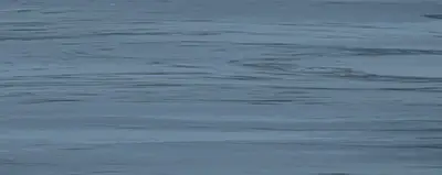 Керамическая плитка Плитка 20,1*50,5 DIANA ACQUA 1c