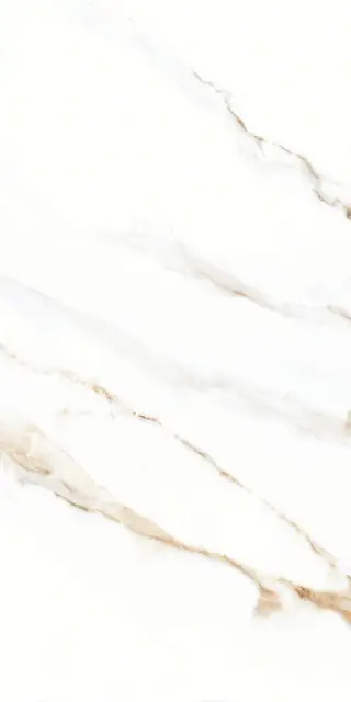 Керамогранит P.E. Lumiere natural mt rect. 60X120