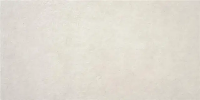 Керамогранит P.E. Pursue pearl mt rect. 60x120  40