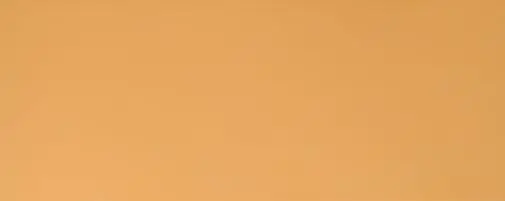 Керамическая плитка Плитка 20,1*50,5 ПАЛИТРА ТЕРРА 77,76 кв.м 1с