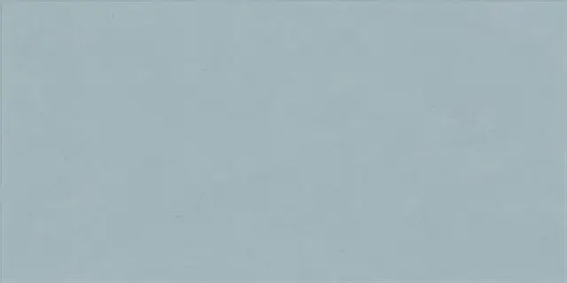 ПЛИТКА 0008233 BLEUET 60X120