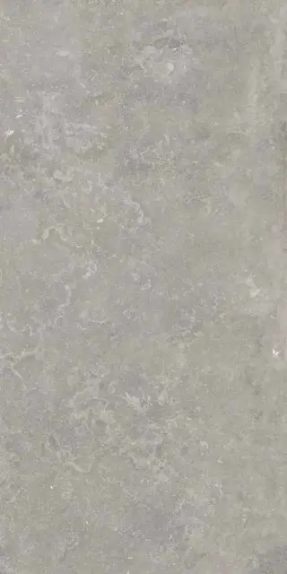 Керамогранит 0012928 BRUGES GREY nat R 60X120