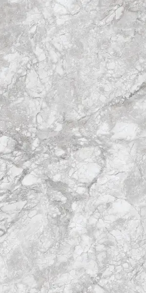 230167 Polar Grey Polished 60x120