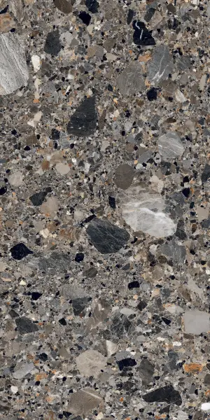 210039 Ceppo Natural Polished 60x120