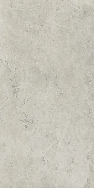 610010002343 Метрополис Абсолют Сильвер 80X160