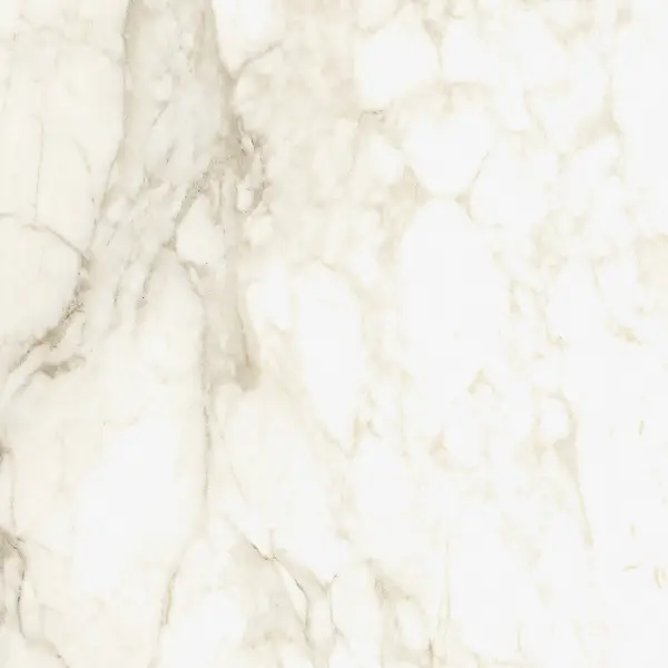 610010002748 Микеланджело Ворм 60X60 Рет