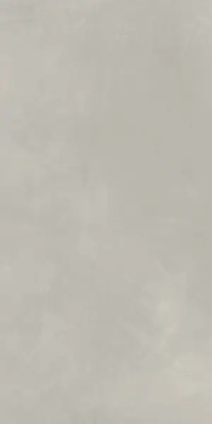 610010002679 Континуум Сильвер 60X120 Рет