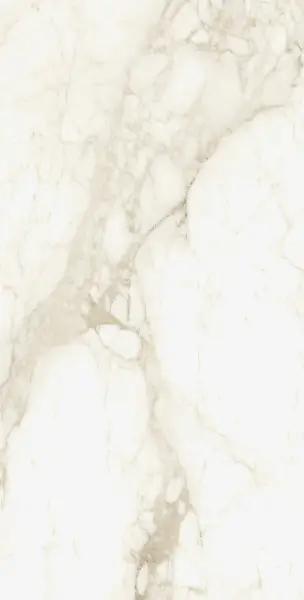 610010002745 Микеланджело Ворм 60X120 Рет