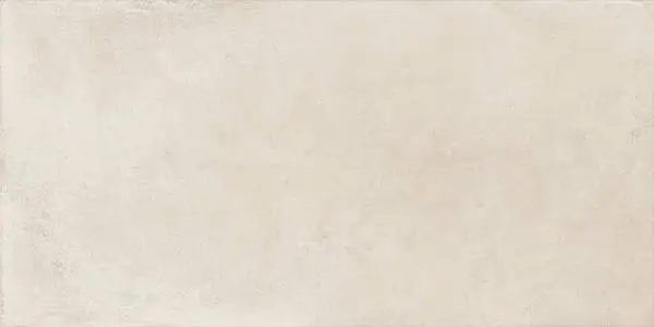 610010002777 Этернум Сноу 60X120 Рет