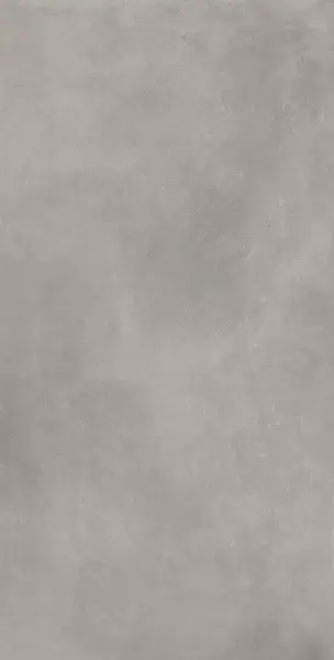 610010002758 Сан-Сиро Грэй 60X120 Рет