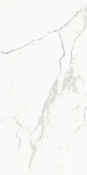 610015000676 Стелларис Статуарио Уайт 60X120 Шлиф