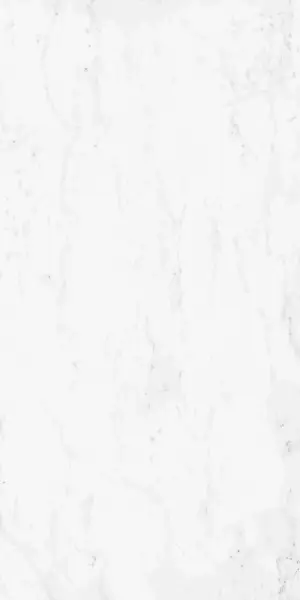 610015000494 Шарм Делюкс Бьянко Микеланджело 60X120 Cer