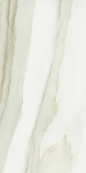 610015000583 Шарм Эдванс Кремо Деликато 60X120 Пат