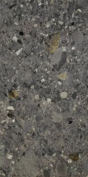 Ceppo di Gres Nero Rett 60х120