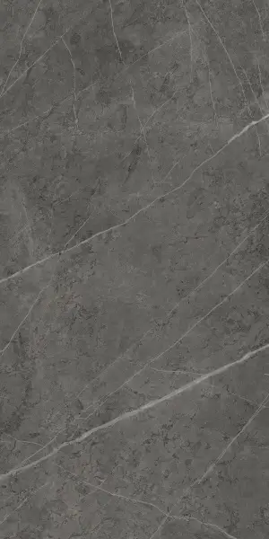 Charme Evo Antracite Ret /Шарм Эво Антрачит Рет 60х120 P3