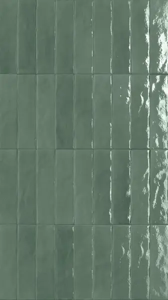 fRMX GL Salvia BR 6x24