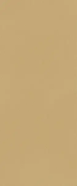 fTDS True Color Caramel 50x120 RT