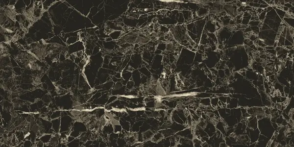 Golden Black Pol. Rect 60x120